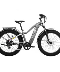 Aventon Aventure.2 E-Bike